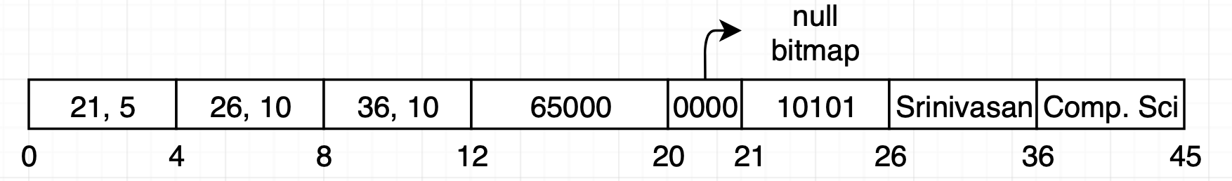 variable-length record example